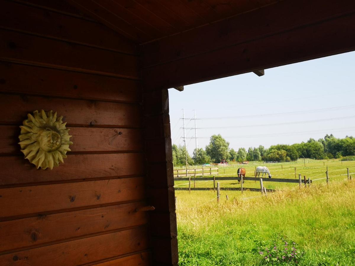 Ruime Romantische Blokhut Zwaanshoek Exterior foto